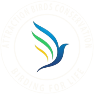Attraction Birds Conservation logo, light version